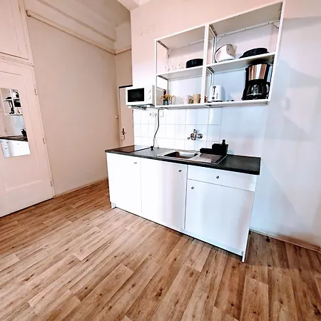 Daire Flat In Zizkov -102-