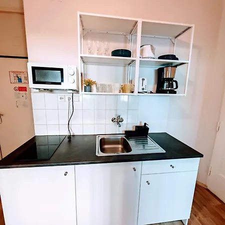 Flat In Zizkov -102- * Prag