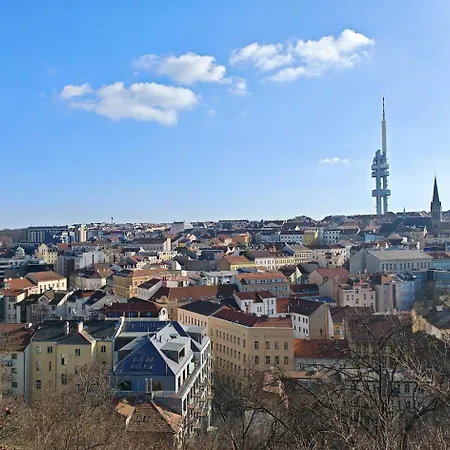 Daire Flat In Zizkov -102- *