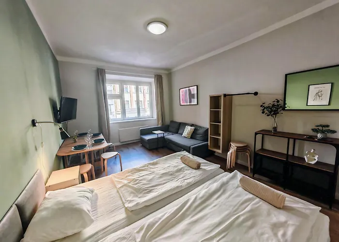 Flat In Zizkov -102- *