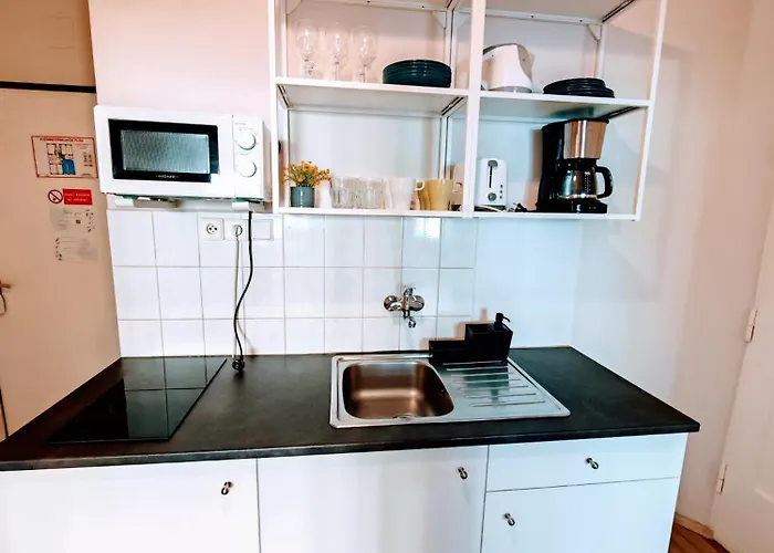 Flat In Zizkov -102- * プラハ