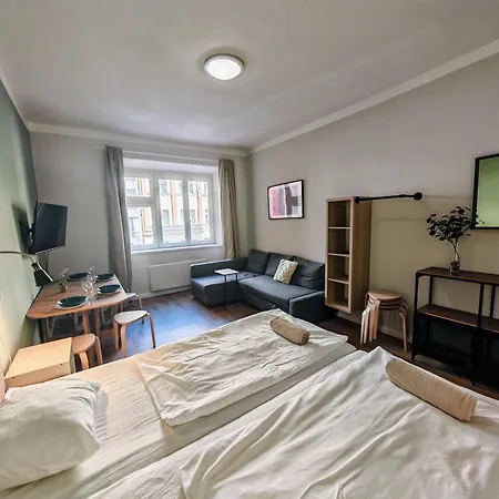 Flat In Zizkov -102- *